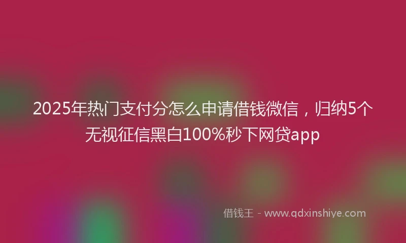 2025年热门支付分怎么申请借钱微信，归纳5个无视征信黑白100%秒下网贷app
