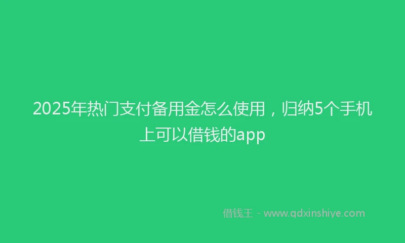 2025年热门支付备用金怎么使用，归纳5个手机上可以借钱的app