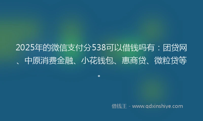 2025年的微信支付分538可以借钱吗有：团贷网、中原消费金融、小花钱包、惠商贷、微粒贷等。