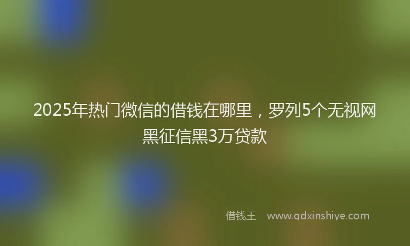2025年热门微信的借钱在哪里，罗列5个无视网黑征信黑3万贷款