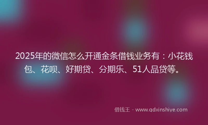2025年的微信怎么开通金条借钱业务有：小花钱包、花呗、好期贷、分期乐、51人品贷等。
