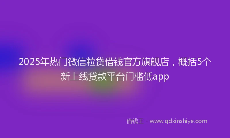 2025年热门微信粒贷借钱官方旗舰店，概括5个新上线贷款平台门槛低app