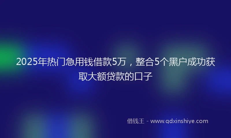 2025年热门急用钱借款5万，整合5个黑户成功获取大额贷款的口子