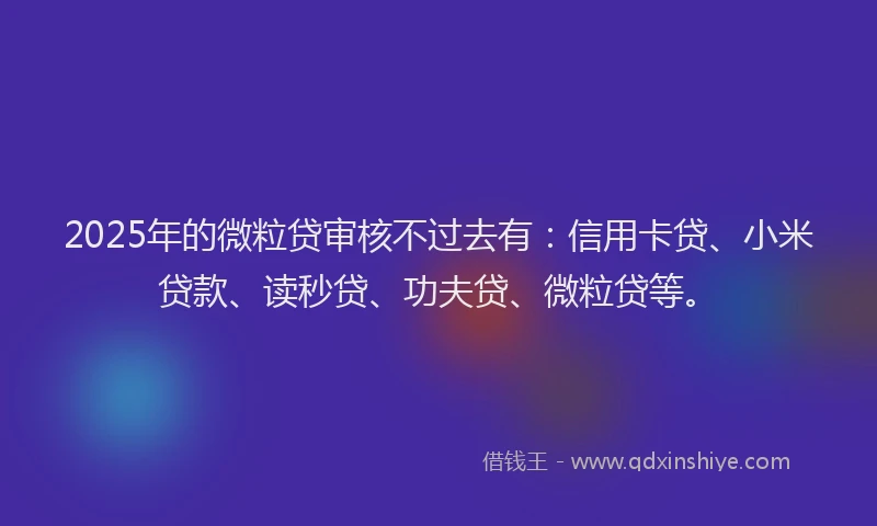 2025年的微粒贷审核不过去有：信用卡贷、小米贷款、读秒贷、功夫贷、微粒贷等。