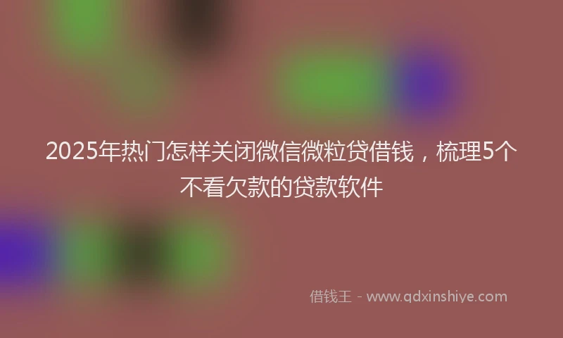 2025年热门怎样关闭微信微粒贷借钱，梳理5个不看欠款的贷款软件