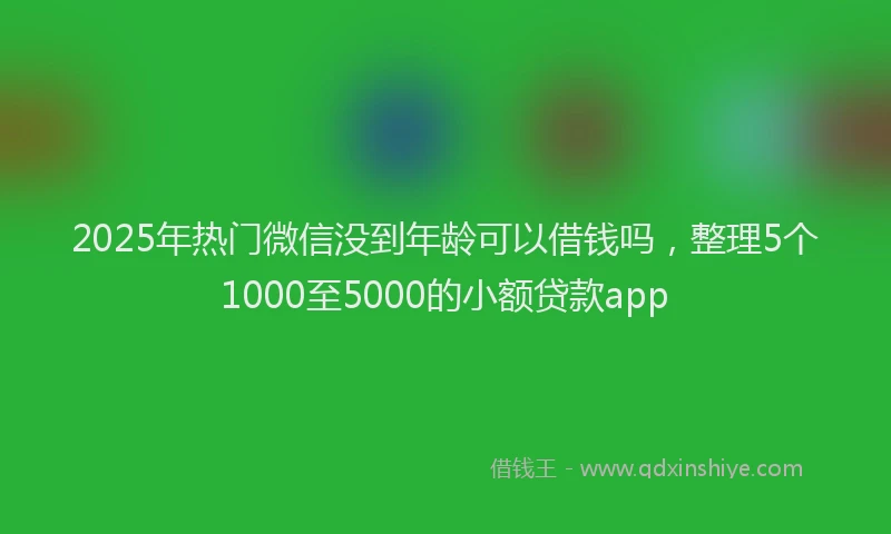2025年热门微信没到年龄可以借钱吗，整理5个1000至5000的小额贷款app