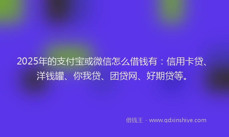2025年的支付宝或微信怎么借钱有：信用卡贷、洋钱罐、你我贷、团贷网、好期贷等。
