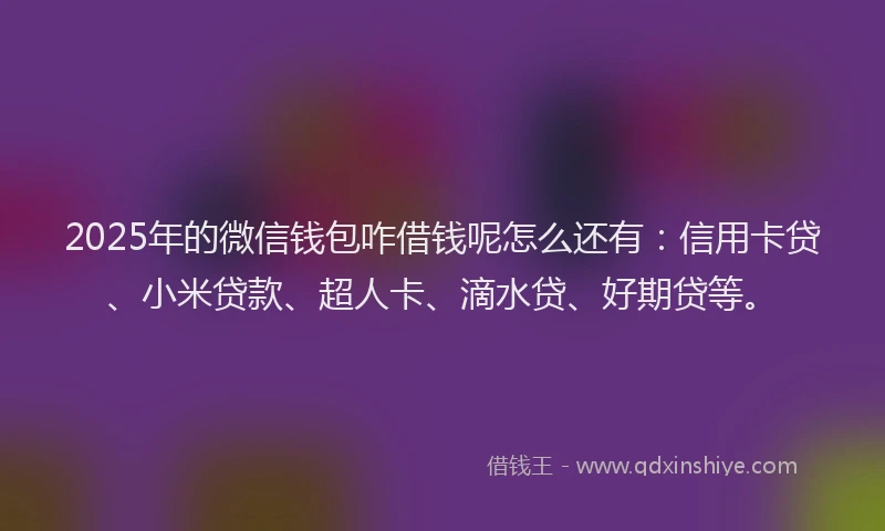 2025年的微信钱包咋借钱呢怎么还有：信用卡贷、小米贷款、超人卡、滴水贷、好期贷等。
