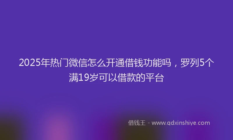 2025年热门微信怎么开通借钱功能吗，罗列5个满19岁可以借款的平台