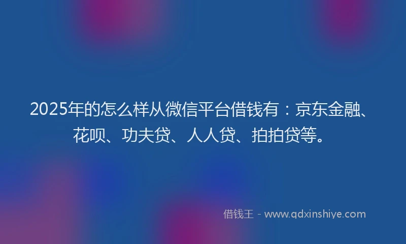 2025年的怎么样从微信平台借钱有：京东金融、花呗、功夫贷、人人贷、拍拍贷等。