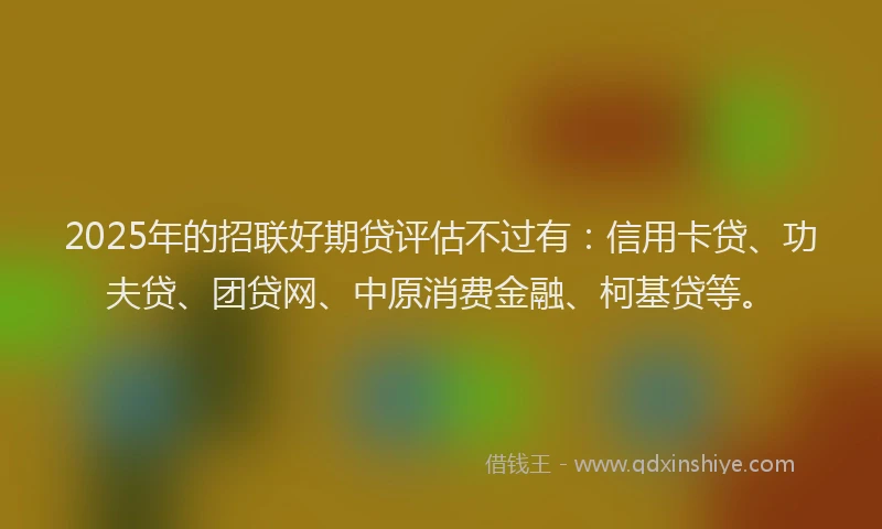 2025年的招联好期贷评估不过有：信用卡贷、功夫贷、团贷网、中原消费金融、柯基贷等。