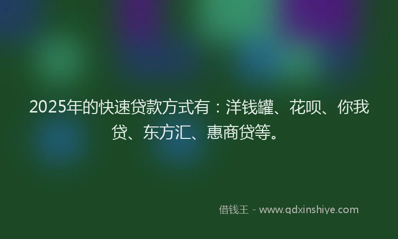2025年的快速贷款方式有：洋钱罐、花呗、你我贷、东方汇、惠商贷等。