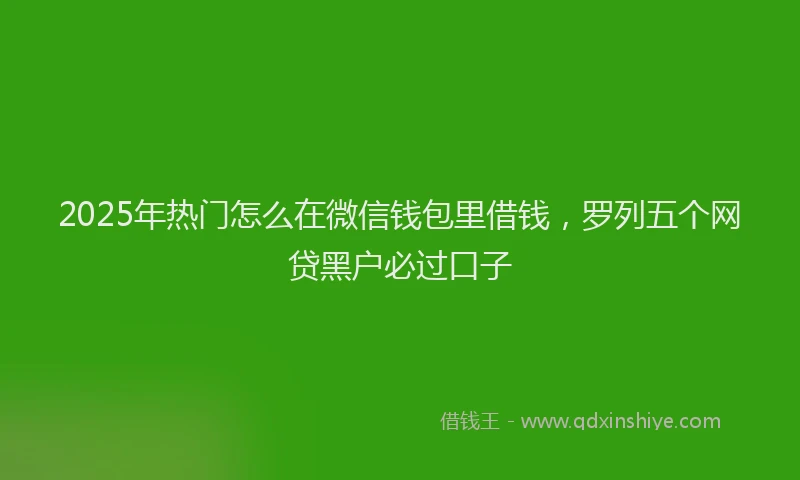 2025年热门怎么在微信钱包里借钱，罗列五个网贷黑户必过口子