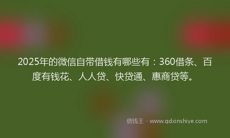 2025年的微信自带借钱有哪些有：360借条、百度有钱花、人人贷、快贷通、惠商贷等。