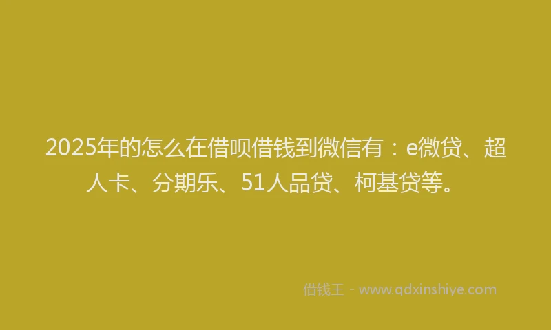 2025年的怎么在借呗借钱到微信有：e微贷、超人卡、分期乐、51人品贷、柯基贷等。