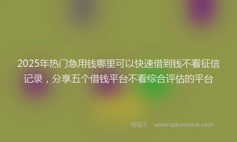 2025年热门急用钱哪里可以快速借到钱不看征信记录，分享五个借钱平台不看综合评估的平台