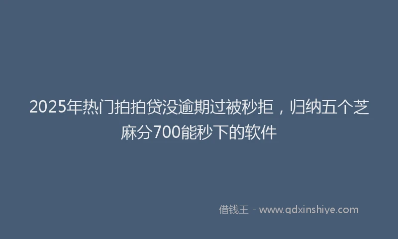 2025年热门拍拍贷没逾期过被秒拒，归纳五个芝麻分700能秒下的软件