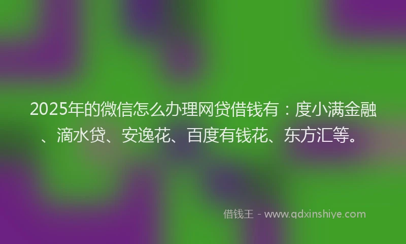 2025年的微信怎么办理网贷借钱有：度小满金融、滴水贷、安逸花、百度有钱花、东方汇等。