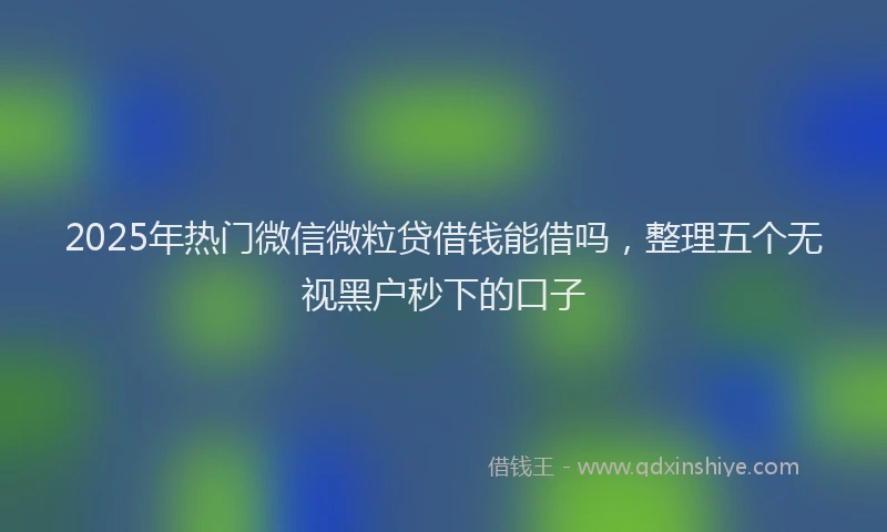 2025年热门微信微粒贷借钱能借吗，整理五个无视黑户秒下的口子