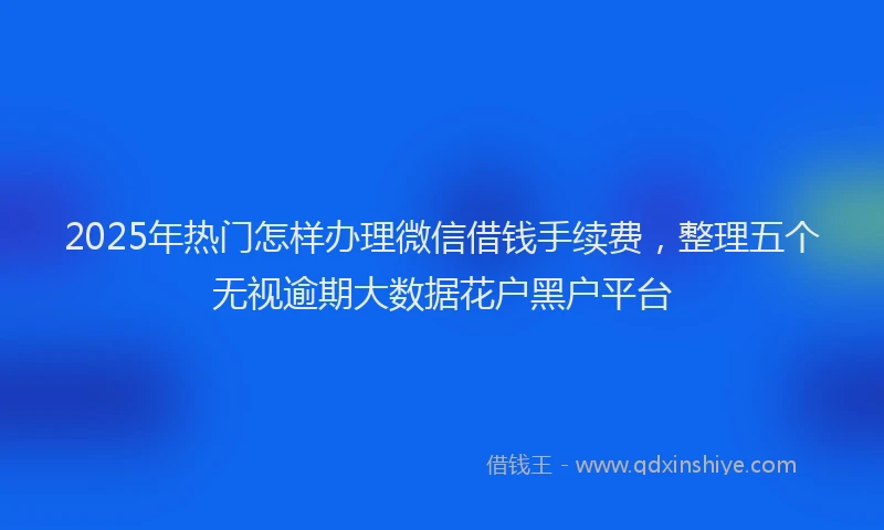 2025年热门怎样办理微信借钱手续费，整理五个无视逾期大数据花户黑户平台