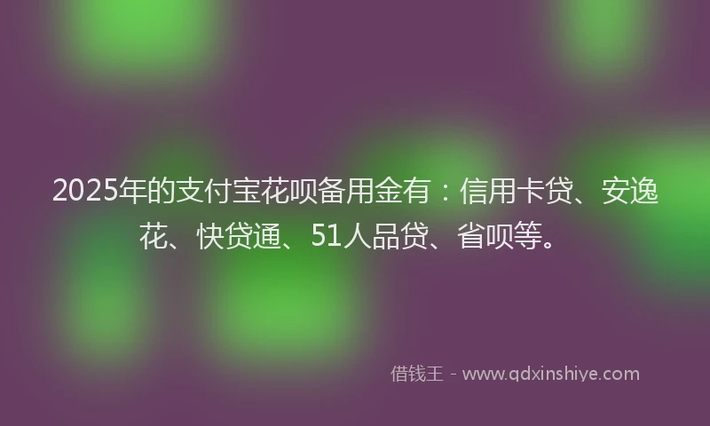 2025年的支付宝花呗备用金有：信用卡贷、安逸花、快贷通、51人品贷、省呗等。