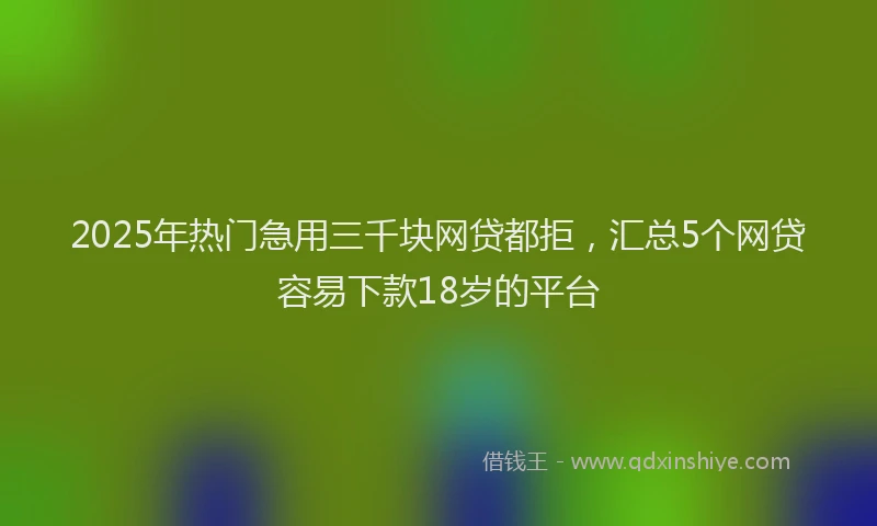 2025年热门急用三千块网贷都拒，汇总5个网贷容易下款18岁的平台