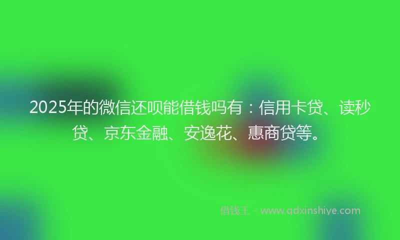 2025年的微信还呗能借钱吗有：信用卡贷、读秒贷、京东金融、安逸花、惠商贷等。