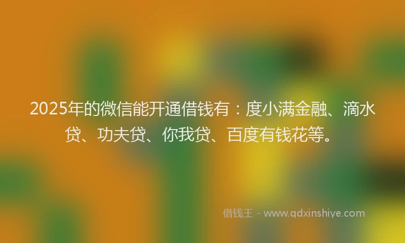 2025年的微信能开通借钱有：度小满金融、滴水贷、功夫贷、你我贷、百度有钱花等。