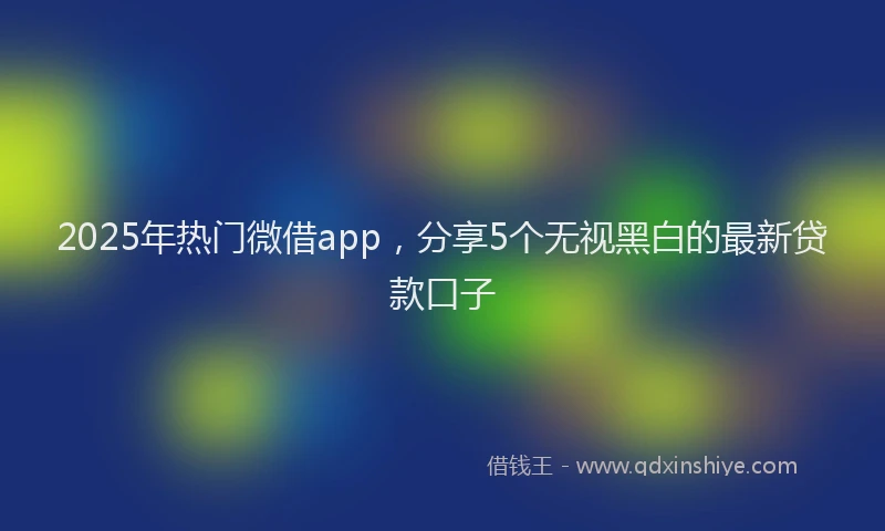 2025年热门微借app，分享5个无视黑白的最新贷款口子