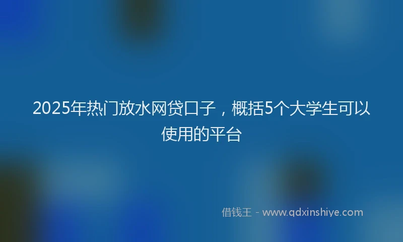 2025年热门放水网贷口子，概括5个大学生可以使用的平台