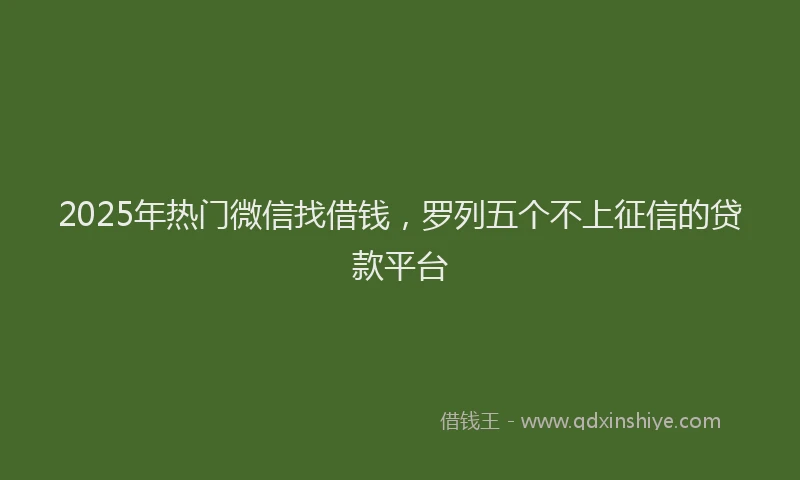 2025年热门微信找借钱，罗列五个不上征信的贷款平台