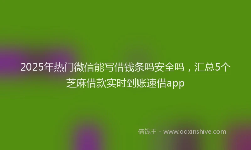 2025年热门微信能写借钱条吗安全吗，汇总5个芝麻借款实时到账速借app