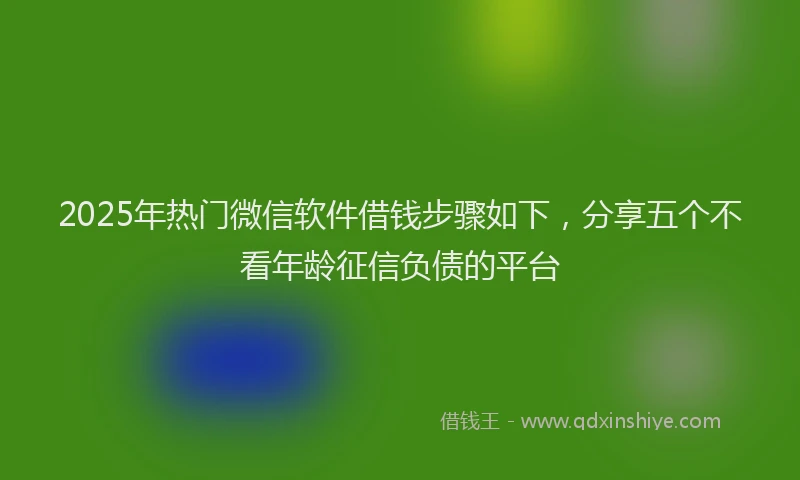 2025年热门微信软件借钱步骤如下，分享五个不看年龄征信负债的平台