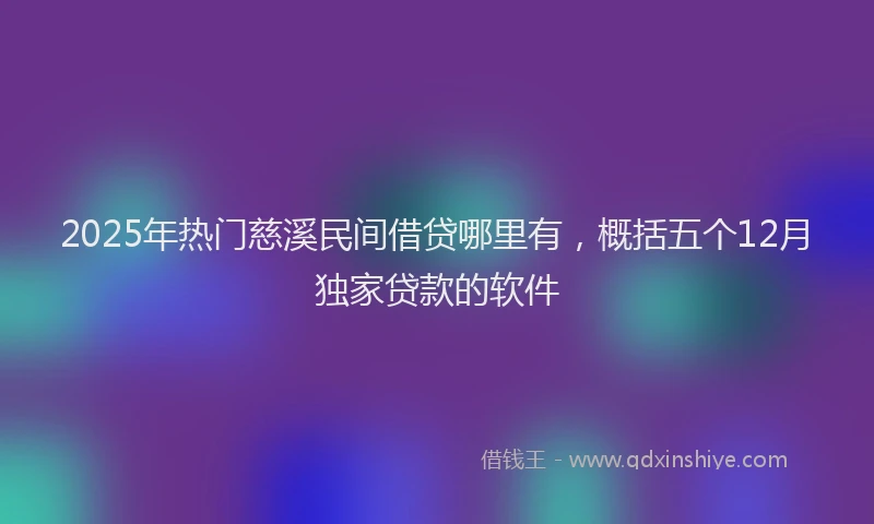 2025年热门慈溪民间借贷哪里有，概括五个12月独家贷款的软件
