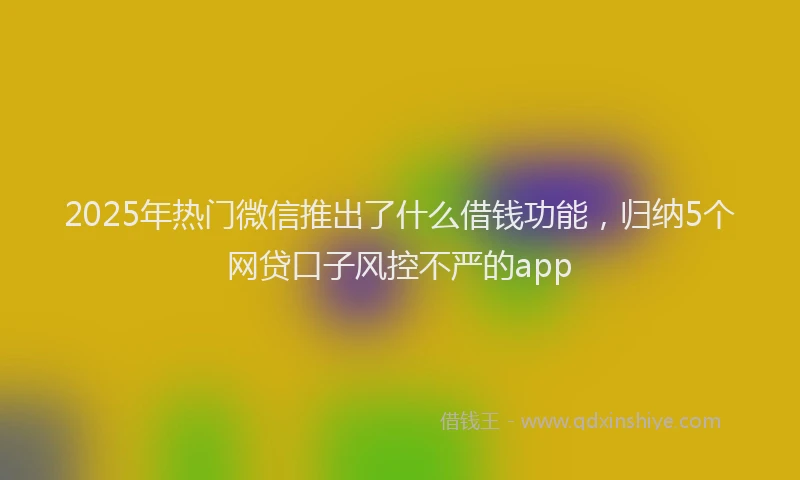 2025年热门微信推出了什么借钱功能，归纳5个网贷口子风控不严的app