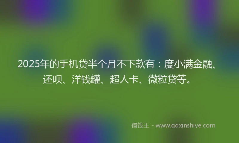 2025年的手机贷半个月不下款有：度小满金融、还呗、洋钱罐、超人卡、微粒贷等。