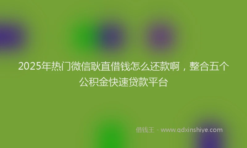 2025年热门微信耿直借钱怎么还款啊，整合五个公积金快速贷款平台