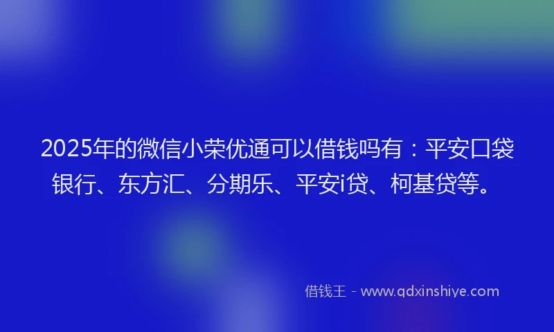 2025年的微信小荣优通可以借钱吗有：平安口袋银行、东方汇、分期乐、平安i贷、柯基贷等。