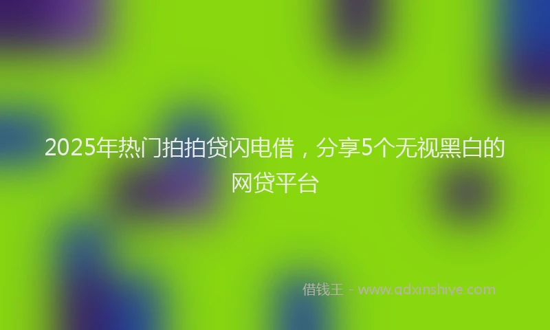 2025年热门拍拍贷闪电借，分享5个无视黑白的网贷平台