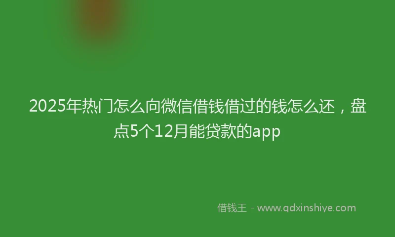 2025年热门怎么向微信借钱借过的钱怎么还，盘点5个12月能贷款的app