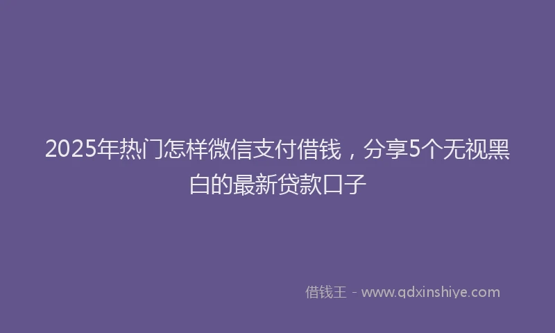 2025年热门怎样微信支付借钱，分享5个无视黑白的最新贷款口子