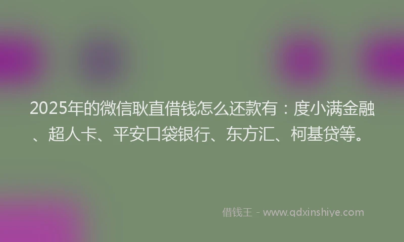 2025年的微信耿直借钱怎么还款有：度小满金融、超人卡、平安口袋银行、东方汇、柯基贷等。