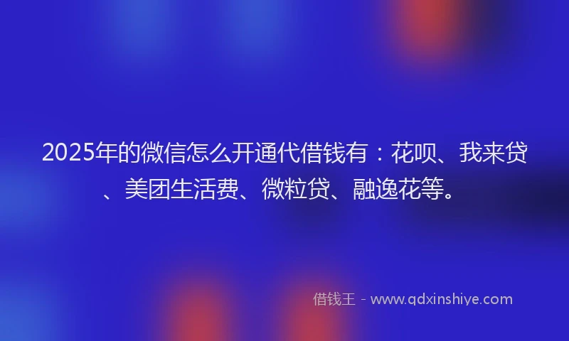 2025年的微信怎么开通代借钱有：花呗、我来贷、美团生活费、微粒贷、融逸花等。