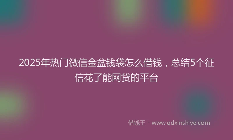 2025年热门微信金盆钱袋怎么借钱，总结5个征信花了能网贷的平台