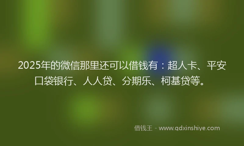 2025年的微信那里还可以借钱有：超人卡、平安口袋银行、人人贷、分期乐、柯基贷等。