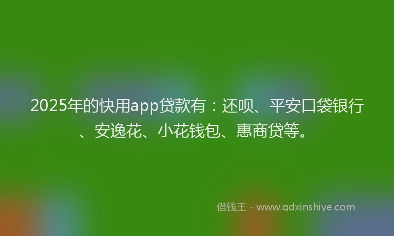 2025年的快用app贷款有：还呗、平安口袋银行、安逸花、小花钱包、惠商贷等。