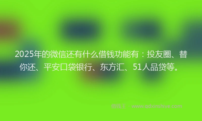 2025年的微信还有什么借钱功能有：投友圈、替你还、平安口袋银行、东方汇、51人品贷等。