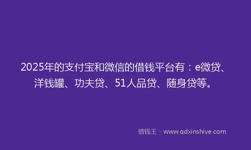 2025年的支付宝和微信的借钱平台有：e微贷、洋钱罐、功夫贷、51人品贷、随身贷等。