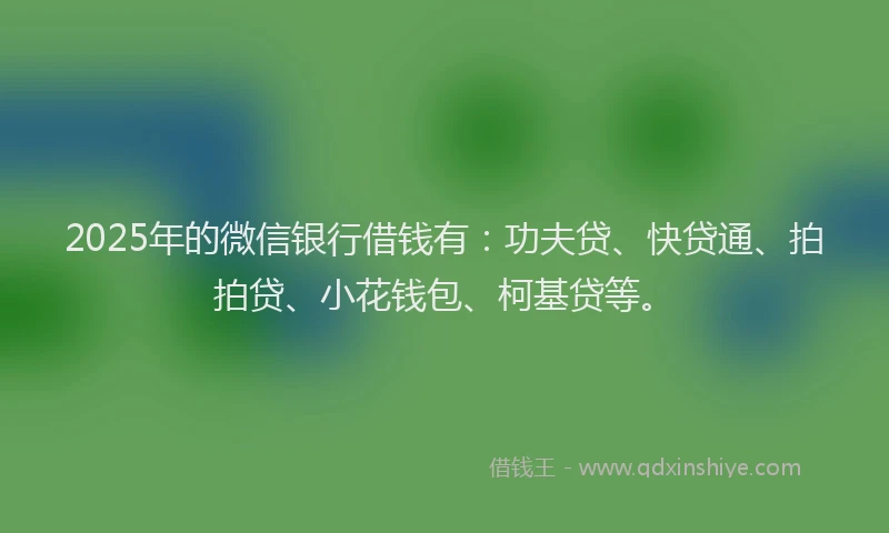 2025年的微信银行借钱有：功夫贷、快贷通、拍拍贷、小花钱包、柯基贷等。