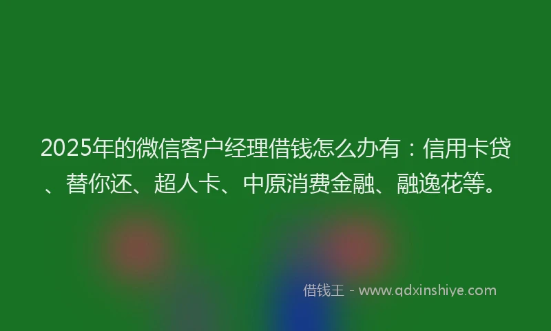2025年的微信客户经理借钱怎么办有：信用卡贷、替你还、超人卡、中原消费金融、融逸花等。